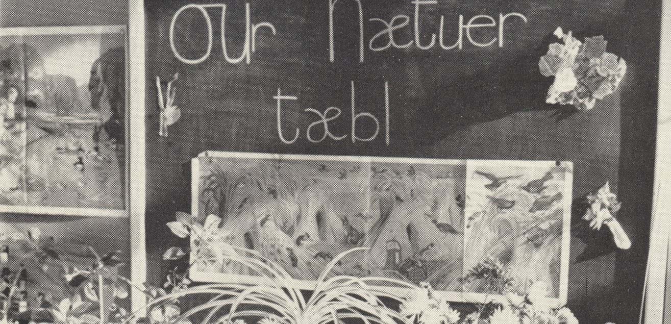 Nature Table provides ITA learning opportunity